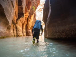 A prepared hiker wearing specialized hiking water shoes wades through the Virgin River in the magnificent slot canyon of The Narrows, Zion National Park.