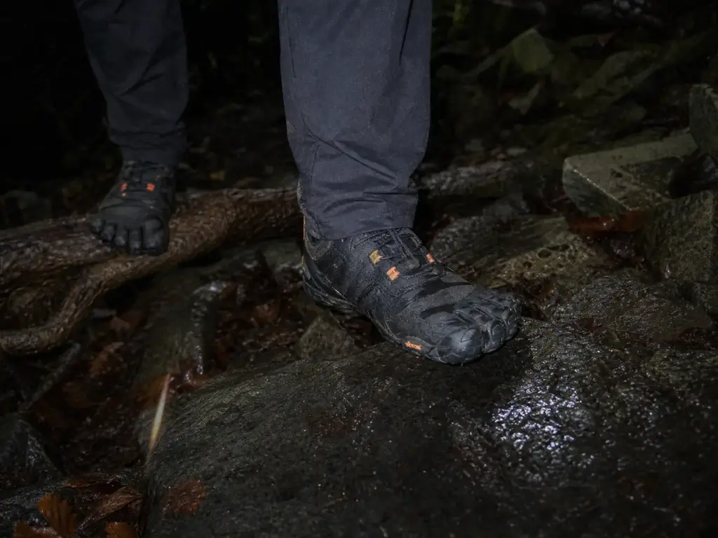 Minimalist shoe placed on wet rock in a talus and root section of trail