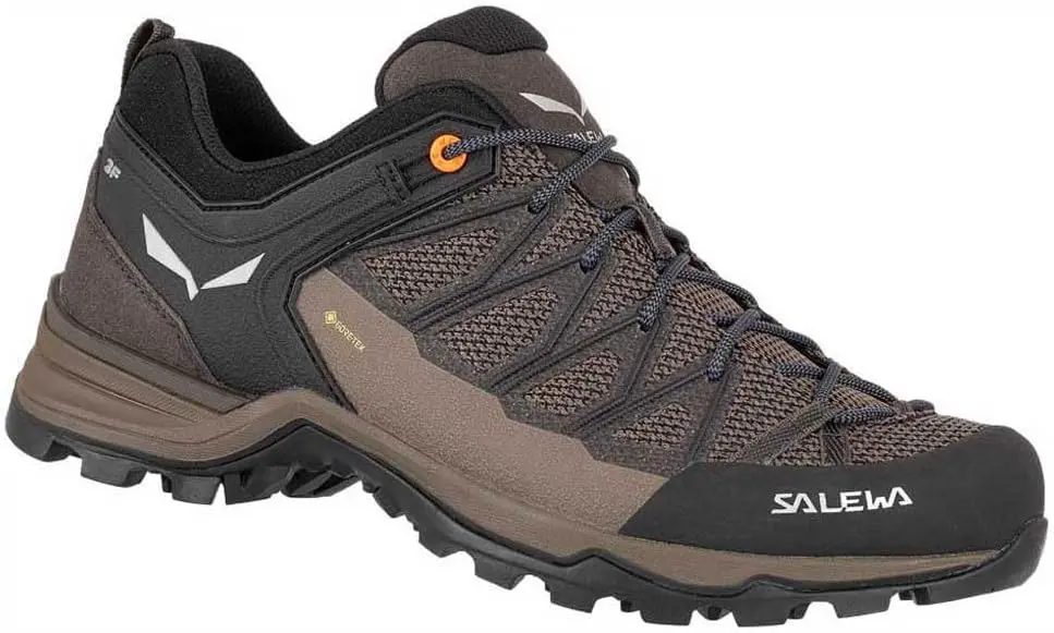 TheHikingTribe A9 Salewa Mountain Trainer Lite GTX