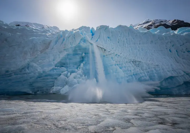Massive ice section calving from Perito Moreno Glacier, showcasing the dynamic nature and scale of the glacier hikers walk on.