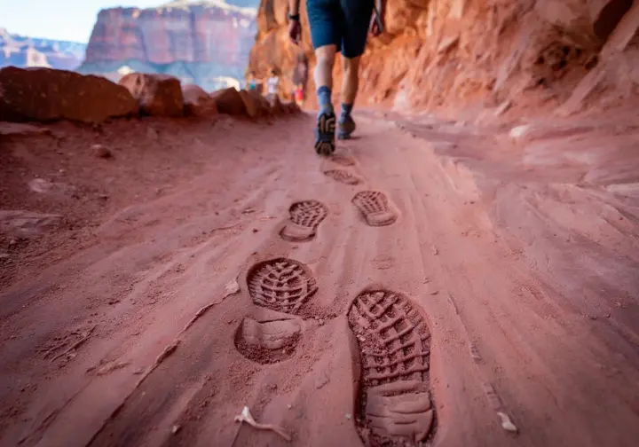 A close-up of the Bright Angel Trail showing mule tracks and a hiker practicing etiquette, highlighting essential trail context for a responsible hiker.
