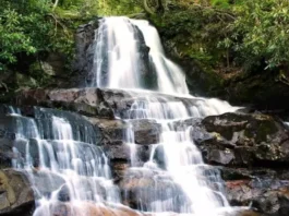 Laurel Falls with its 80-foot waterfall and newly paved trail, showing a serene scene with minimal crowds, illustrating how to beat the crowds and find parking for Laurel Falls Trail.