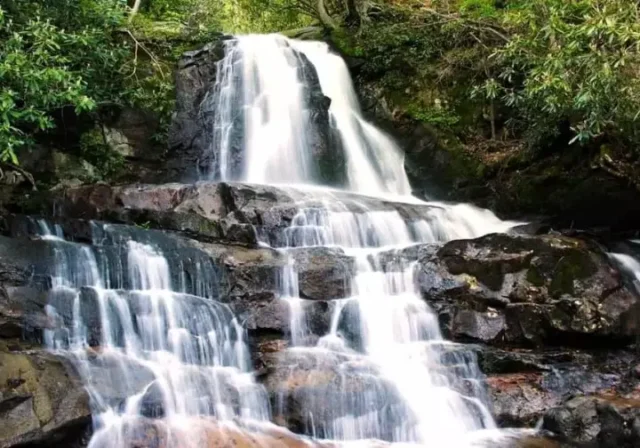 Laurel Falls with its 80-foot waterfall and newly paved trail, showing a serene scene with minimal crowds, illustrating how to beat the crowds and find parking for Laurel Falls Trail.