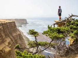 A hiker overlooks the dramatic sandstone cliffs and Pacific Ocean at Torrey Pines State Natural Reserve, highlighting the best hiking trails.