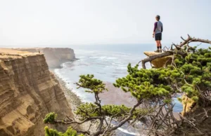 Torrey Pines Hiking: A Guide to All The Best Trails A hiker overlooks the dramatic sandstone cliffs and Pacific Ocean at Torrey Pines State Natural Reserve, highlighting the best hiking trails.