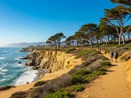 Panoramic view of Torrey Pines hiking trails with coastal cliffs and Torrey Pine trees.