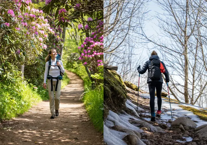 Split image showing Alum Cave Trail in summer with light gear and in winter with microspikes, illustrating gear and strategy for all seasons.