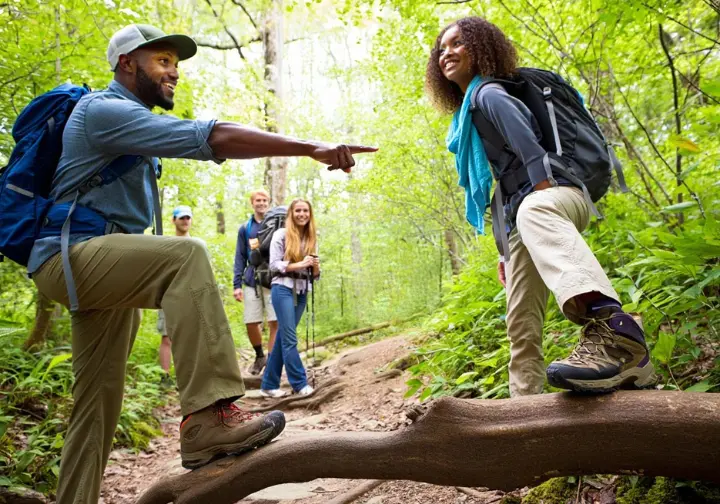 Diverse hikers on Alum Cave Trail observing a distant black bear and staying on the path, highlighting hiker safety and responsibility in the Smoky Mountains.