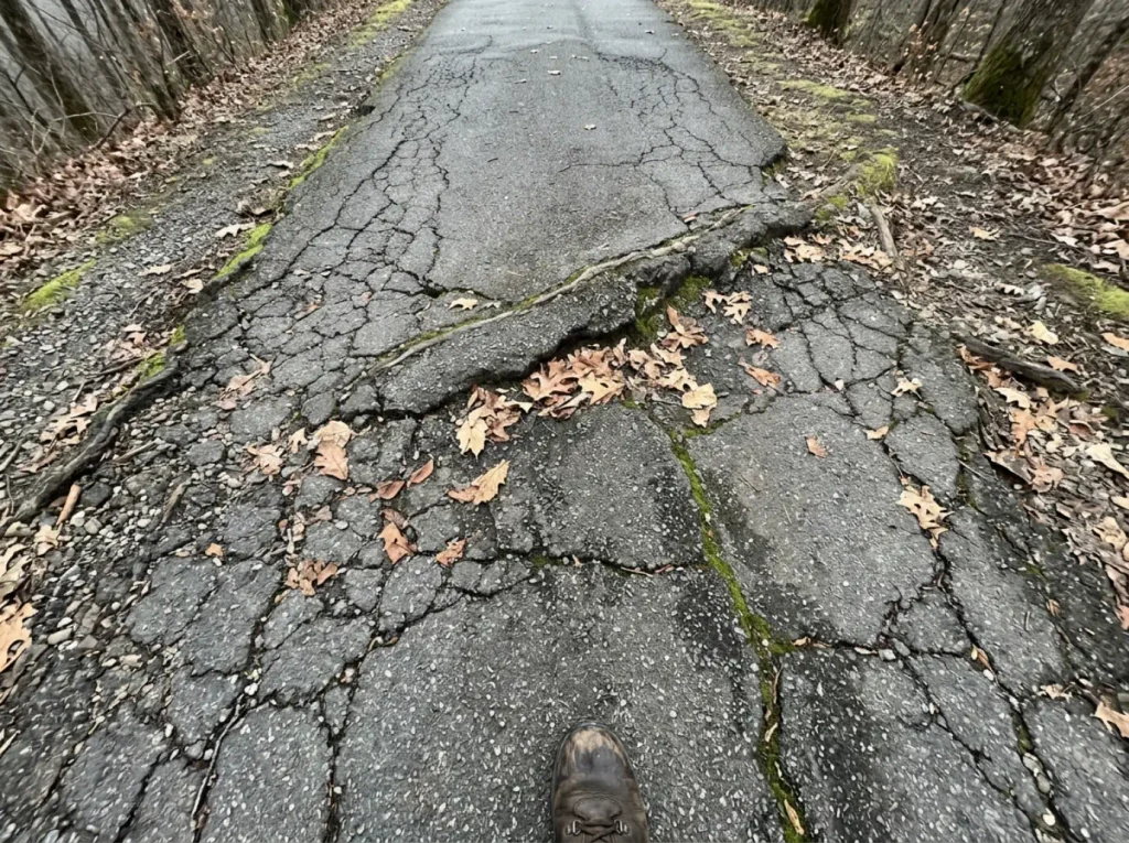 Cracked and root-lifted asphalt on a Great Smoky Mountains trail worn down by decades of foot traffic