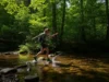 Hiking & Water Shoe Review: Our Performance Scorecard A full-body shot of a hiker wearing water shoes while carefully crossing a shallow, sun-dappled creek in a forest.
