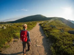 The Hiker’s Handbook: From First Steps to First Summit A hiker stands on a mountain path, gazing at a distant summit, representing the journey from first steps to achieving a hiking goal.