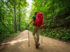 The AT in 5-7 Months: A Thru-Hiker’s Pacing Guide A thru-hiker stands on the Appalachian Trail, equipped with a backpack and trekking poles, symbolizing the journey of hiking the Appalachian Trail and a pacing guide.