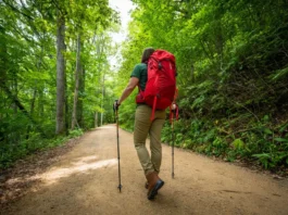 A thru-hiker stands on the Appalachian Trail, equipped with a backpack and trekking poles, symbolizing the journey of hiking the Appalachian Trail and a pacing guide.