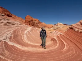 A hiker views the iconic Fire Wave in Valley of Fire State Park, showcasing the park's vibrant sandstone and unique rock formations.