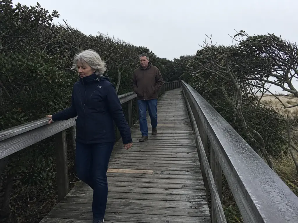 Elevated boardwalk through the Sunken Forest at Fire Island, a flat South Shore Long Island walking trail.