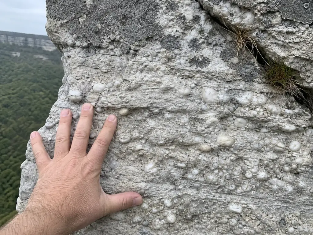 Close view of white quartz conglomerate bedding at the Shawangunk Ridge cliff bands