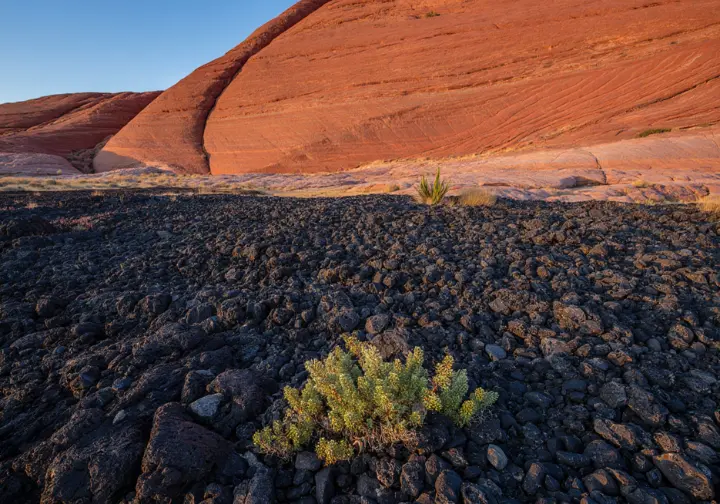 A view of the unique landscape near St. George, Utah, where ancient black lava flows meet vibrant red sandstone cliffs under a clear sky.