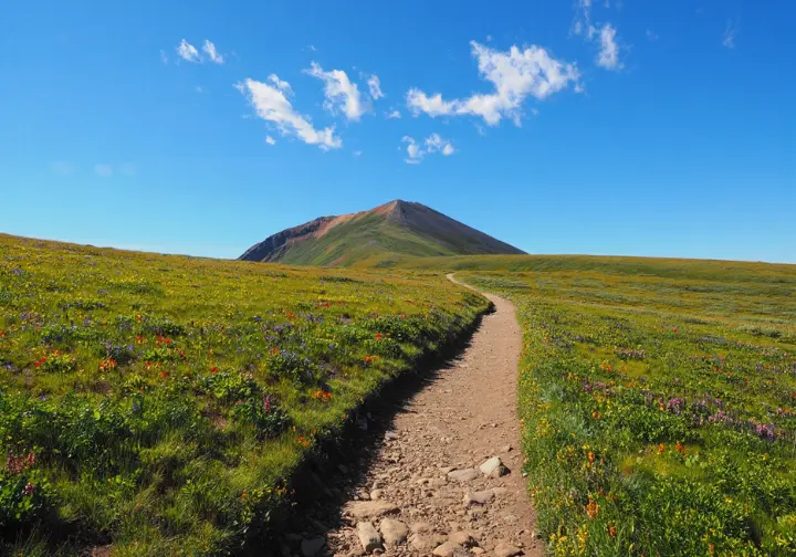 An empty, winding dirt trail leads through a meadow of vibrant wildflowers toward a dramatic mountain peak, representing an ideal hike from America's best trails.