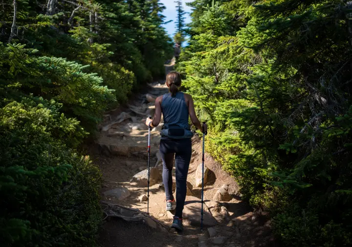 A hiker makes her way up a rocky, forested section of the Joffre Lakes trail during the summer.