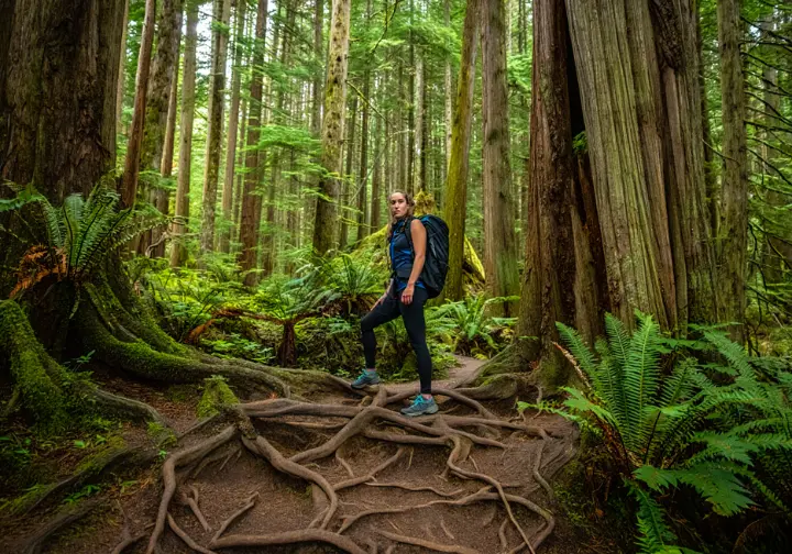 A hiker on a rooty, mossy trail in the dense, green rainforest of Vancouver's North Shore mountains.