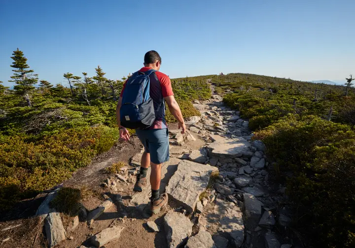 A hiker follows the teal blazes along the rocky footpath of the classic Verkeerder Kill Falls route through the sunny dwarf pine barrens.