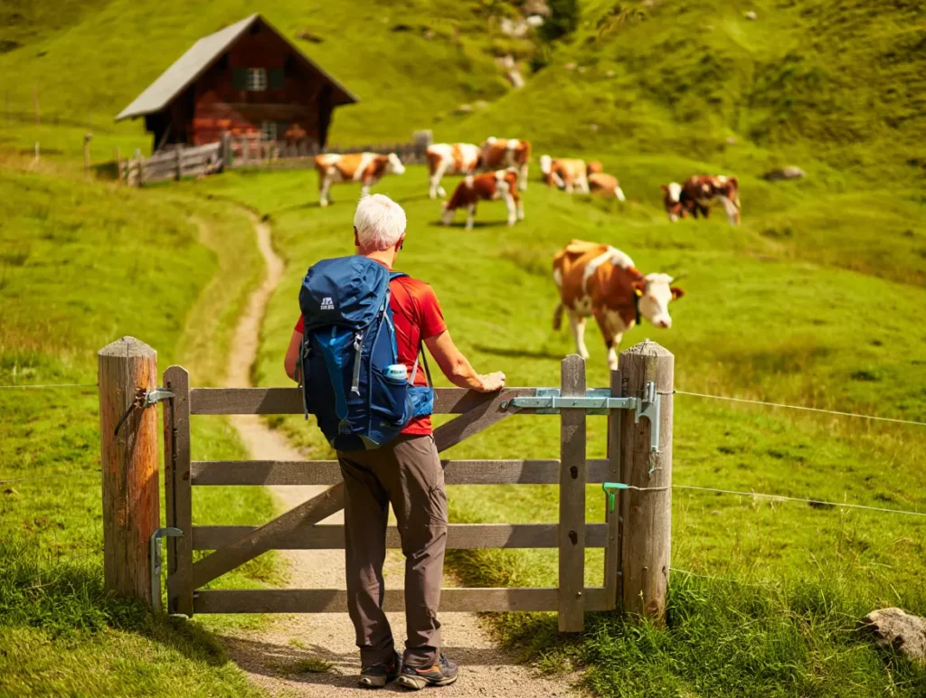 A responsible hiker closing a pasture gate on a trail in the Swiss Alps, demonstrating safety and sustainability.