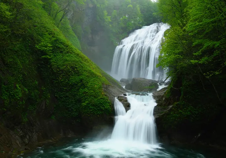 Verkeerder Kill Falls is shown at its seasonal peak in spring, with a powerful flow of water cascading down the cliff amidst lush green foliage.