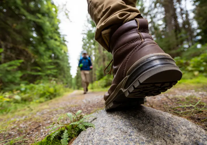 A hiker's boot is carefully placed on a rock to avoid stepping on fragile plants, demonstrating responsible hiking and Leave No Trace principles.