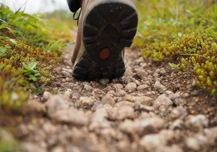 A close-up on a hiker's boot planted firmly on the marked rocky trail, demonstrating the principle of hiking responsibly to protect the surrounding fragile plants.