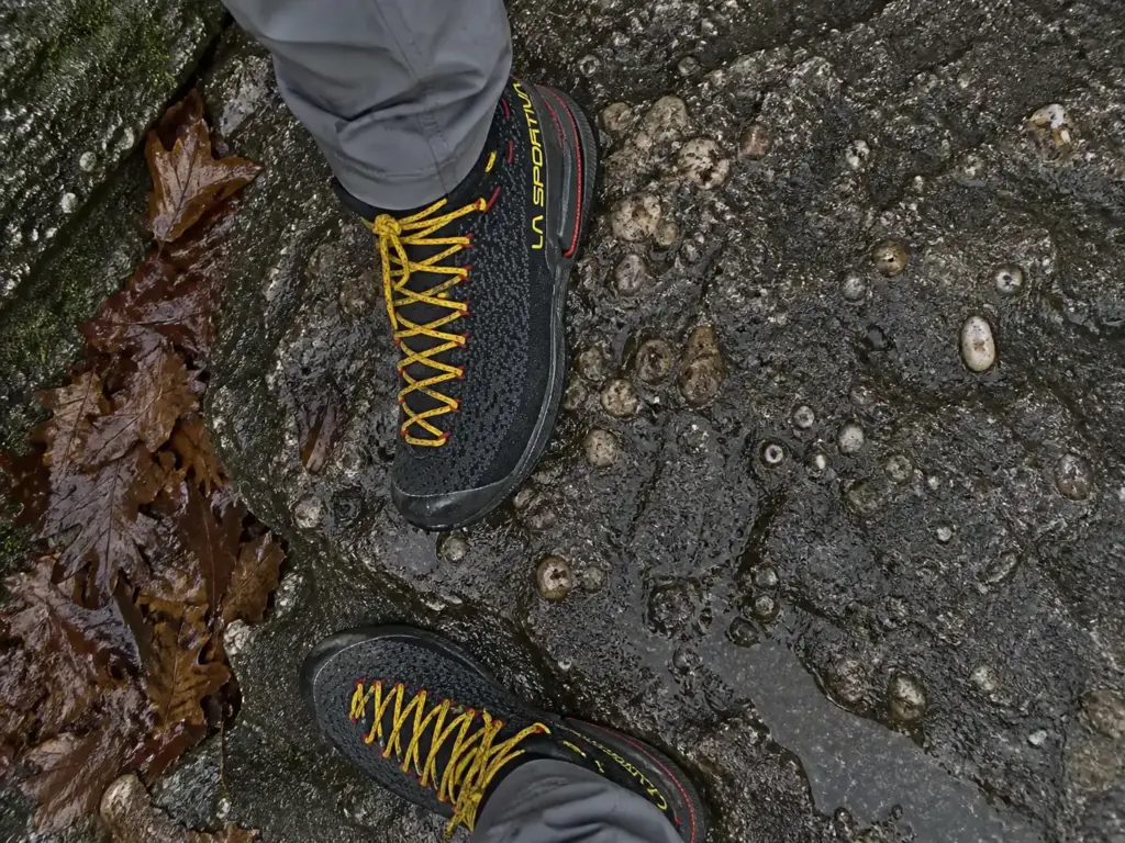 Sticky rubber approach shoe on damp Shawangunk conglomerate rock at Mohonk Preserve