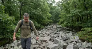Hiking in Central PA Where the Rules Change Midtrail Hiker crossing a blocky sandstone rock field while hiking in Central PA's Ridge-and-Valley ridgeline