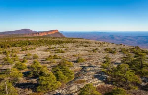 Your Essential Guide to Sam’s Point Area of Minnewaska State Park Preserve Panoramic view from Sam's Point Overlook in Minnewaska State Park Preserve, NY, showcasing the pine barrens and distant mountains.