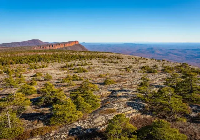 Panoramic view from Sam's Point Overlook in Minnewaska State Park Preserve, NY, showcasing the pine barrens and distant mountains.
