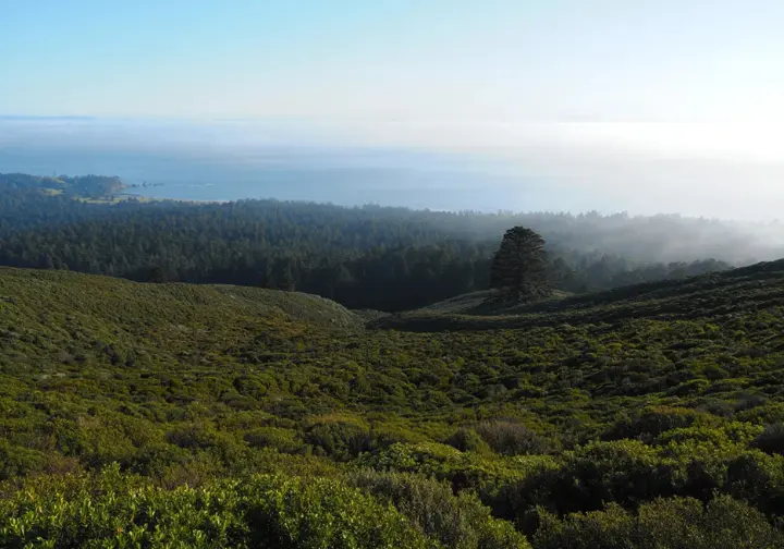 A view from a high peak showing the diverse geography of Northern California, with coastal foothills in the foreground, redwood forests in the mid-ground, and the foggy Pacific coast in the distance.