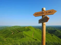 Top Places to Hike in Nashville? Secret Spots Guide Scenic viewpoint on a Nashville hiking trail with a signpost, representing a guide to top and secret hiking spots.