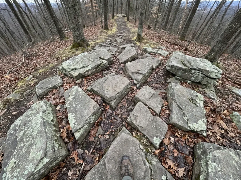 Angular Tuscarora sandstone blocks forming the rocky trail tread typical of Central PA ridgelines