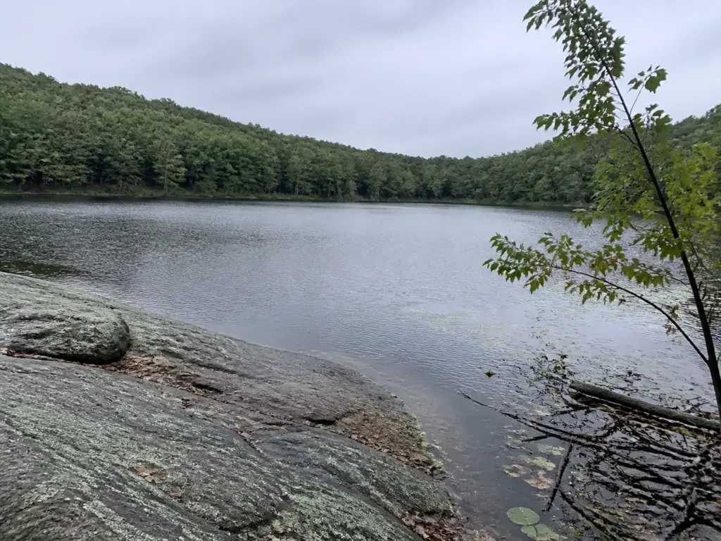 Sterling Lake seen from a forested shoreline trail in Sterling Forest State Park NY