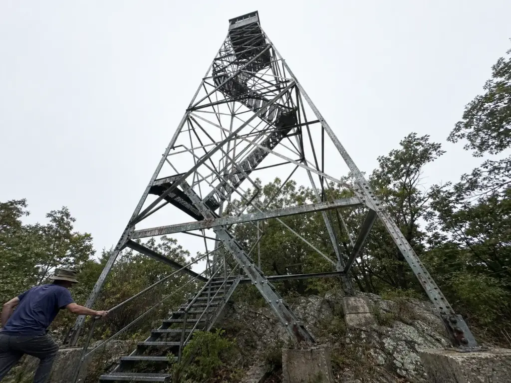 Steel fire tower rising above the treeline on Sterling Mountain in Sterling Forest State Park NY