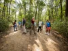 Beyond AllTrails: How to Find Amazing Local Hikes A diverse group of hikers on a quiet, tree-lined trail, emphasizing the discovery of amazing local hikes beyond popular apps.