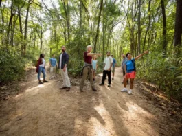 A diverse group of hikers on a quiet, tree-lined trail, emphasizing the discovery of amazing local hikes beyond popular apps.