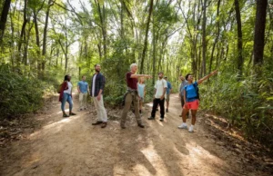 Beyond AllTrails: How to Find Amazing Local Hikes A diverse group of hikers on a quiet, tree-lined trail, emphasizing the discovery of amazing local hikes beyond popular apps.