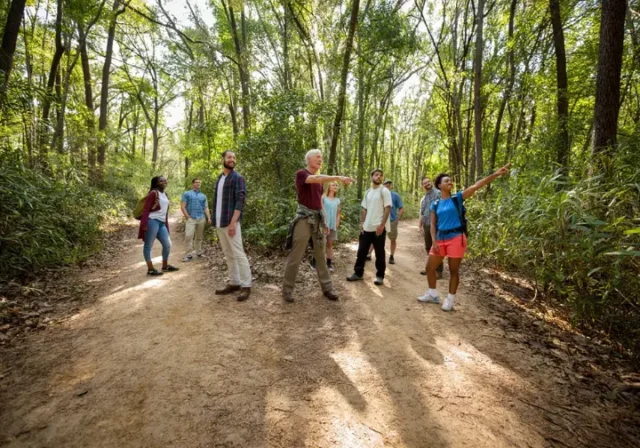 A diverse group of hikers on a quiet, tree-lined trail, emphasizing the discovery of amazing local hikes beyond popular apps.