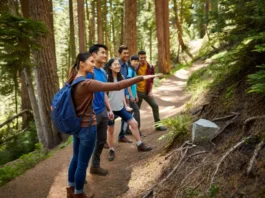 Diverse hikers demonstrating ethical outdoor practices on a sunlit forest trail, embodying the Leave No Trace principles.
