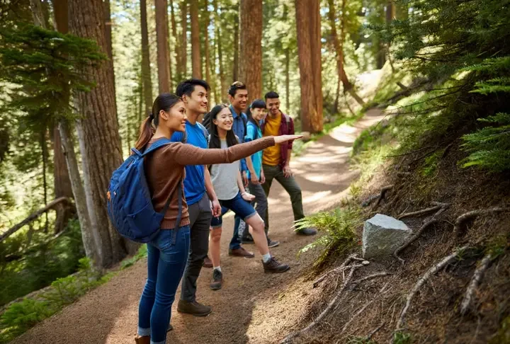 Diverse hikers demonstrating ethical outdoor practices on a sunlit forest trail, embodying the Leave No Trace principles.