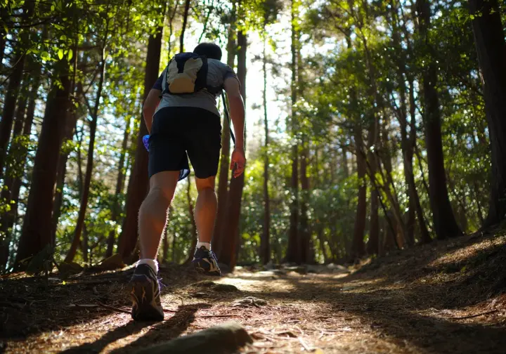 A hiker with a small, lightweight backpack walking on a trail through a sun-dappled forest, embodying the freedom of ultralight backpacking.