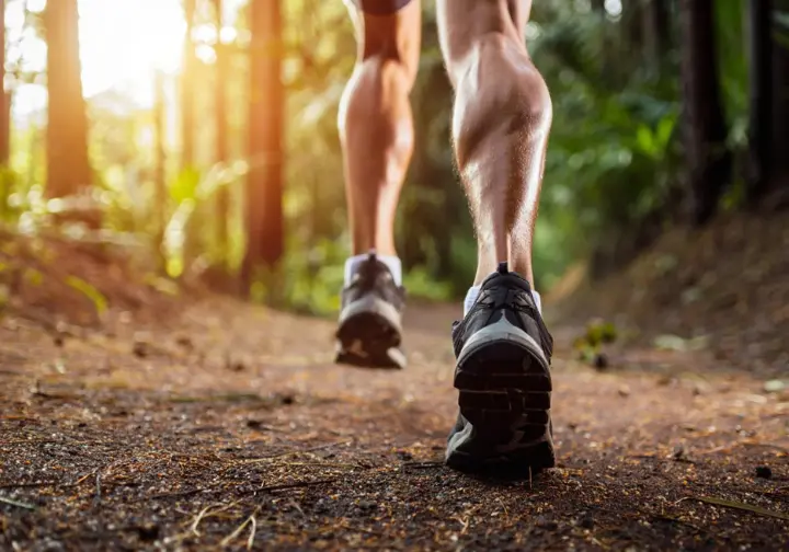 Close-up of a hiker's legs in motion on a trail, representing the body's internal engine and physiological principles of sustainable hiking strides.
