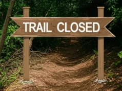 Trail Closed? A Hiker’s Guide to Reroutes & Reasons A hiker in full gear stands before a "Trail Closed" sign in a dense forest, looking towards a new trail reroute that branches off to the side.