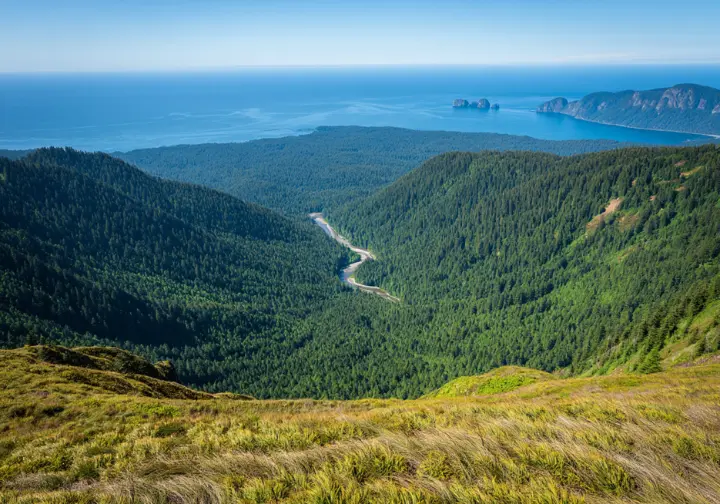 A panoramic view from an alpine ridge in Olympic National Park showing its three distinct terrains: mountains, rainforest, and the distant Pacific coast.