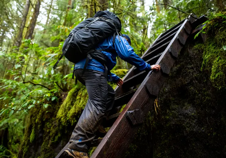 A thru-hiker tackling a steep wooden ladder on a challenging, iconic multi-day trek on Vancouver Island.