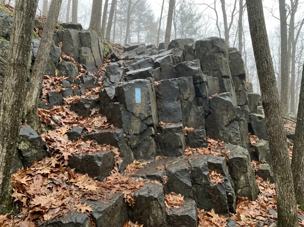 Close view of dark traprock basalt on a Connecticut ridge trail, the rock that makes short hikes steep.